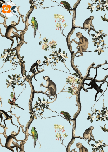 Postkarte Monkey