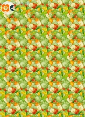 Geschenkpapier Gemüse & Salat (Jubiläum)