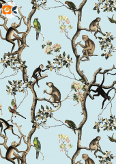 Postkarte Monkey