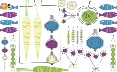 Frühstücksbrettchen Fisherman blau/grün